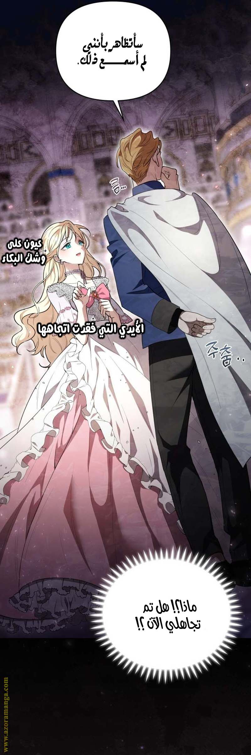 الصفحة 25