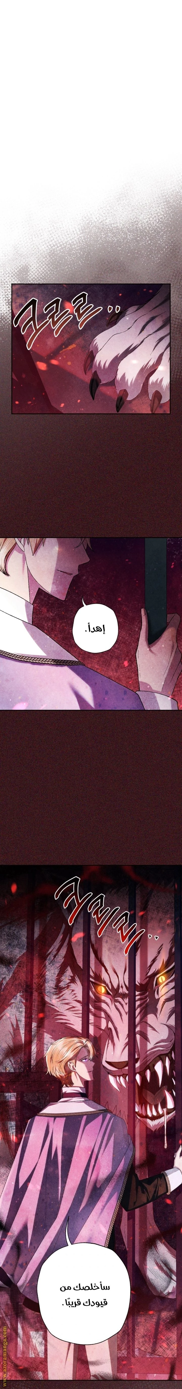 الصفحة 16