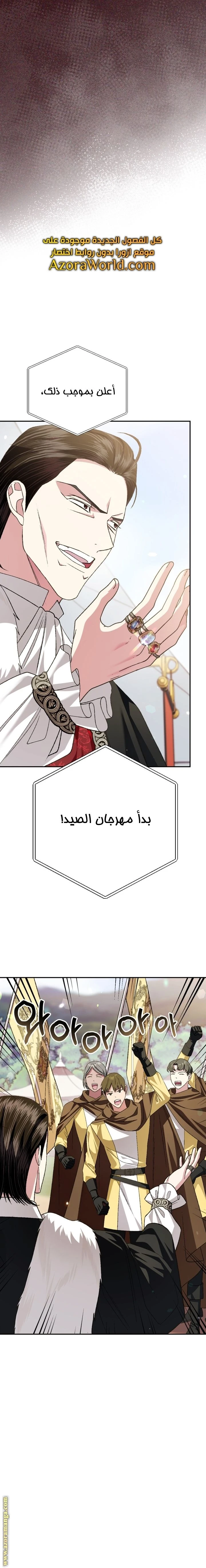 الصفحة 17
