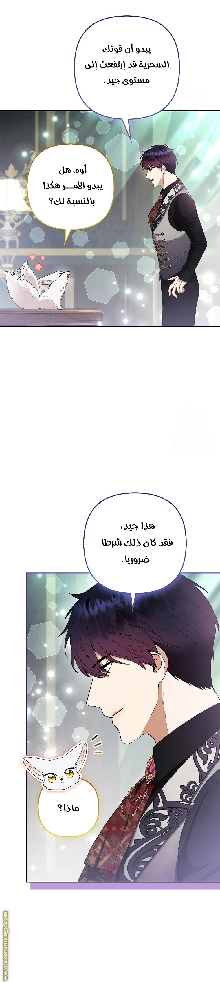 الصفحة 11