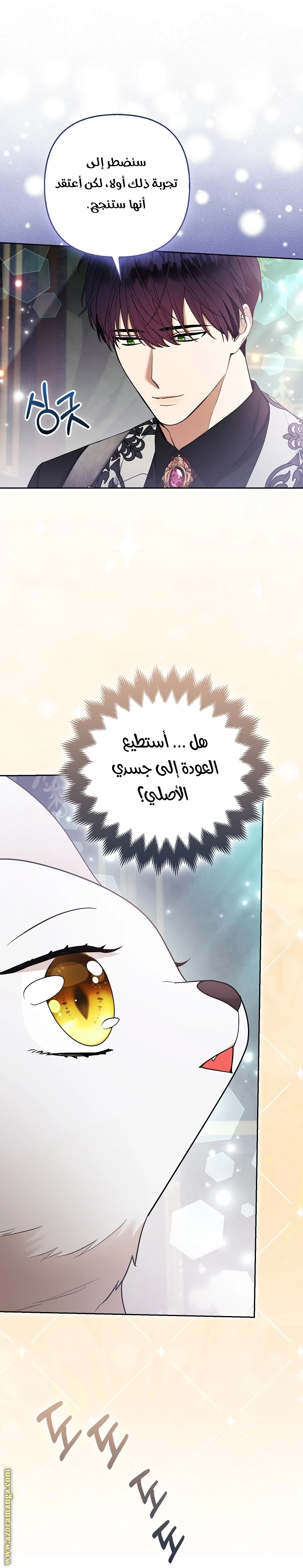 الصفحة 13