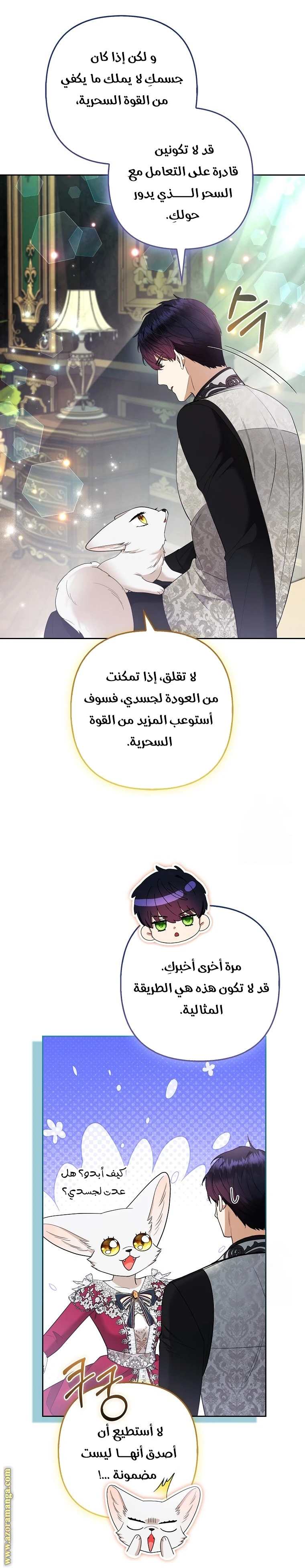 الصفحة 17