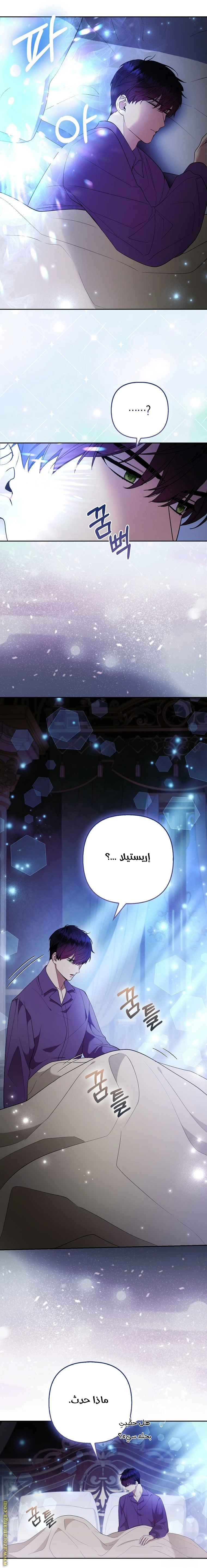 الصفحة 26