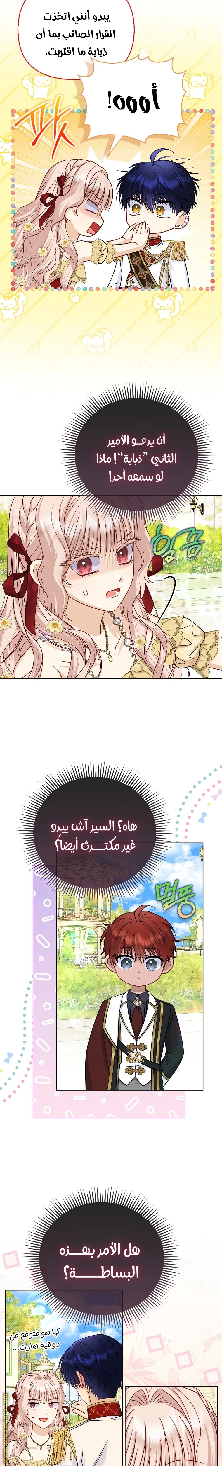 الصفحة 14