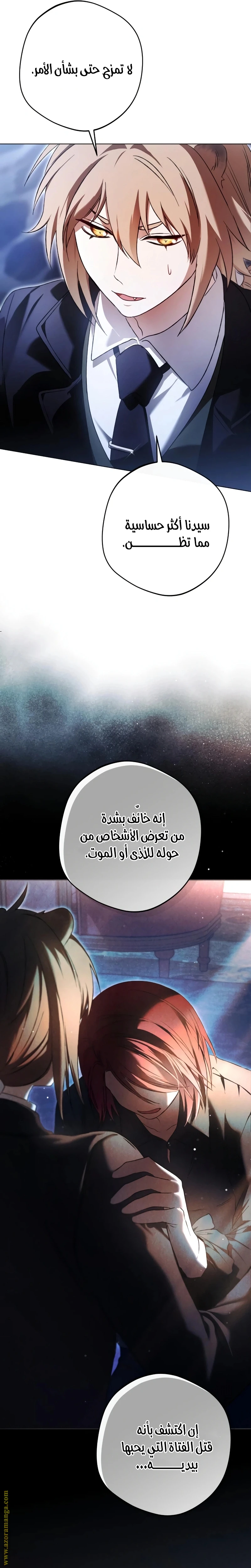 الصفحة 13