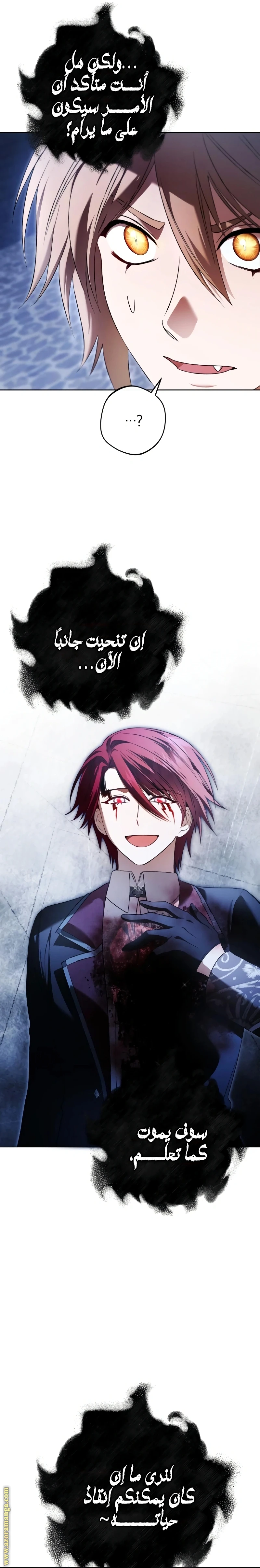 الصفحة 17