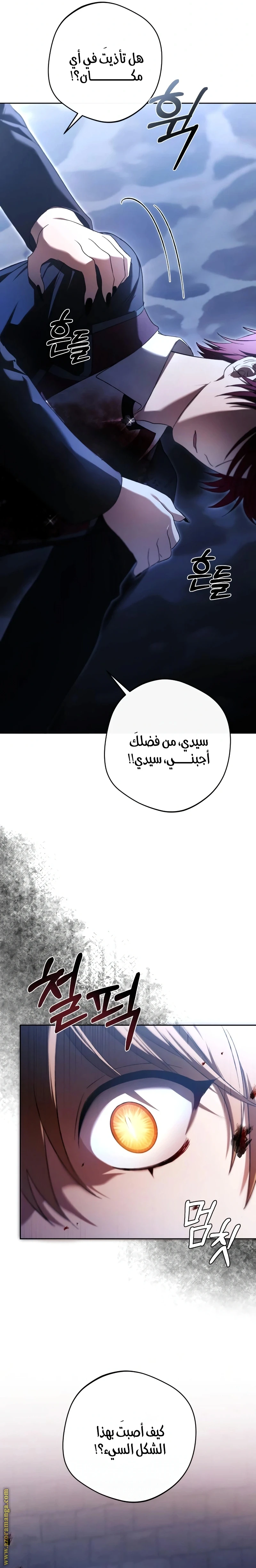 الصفحة 20