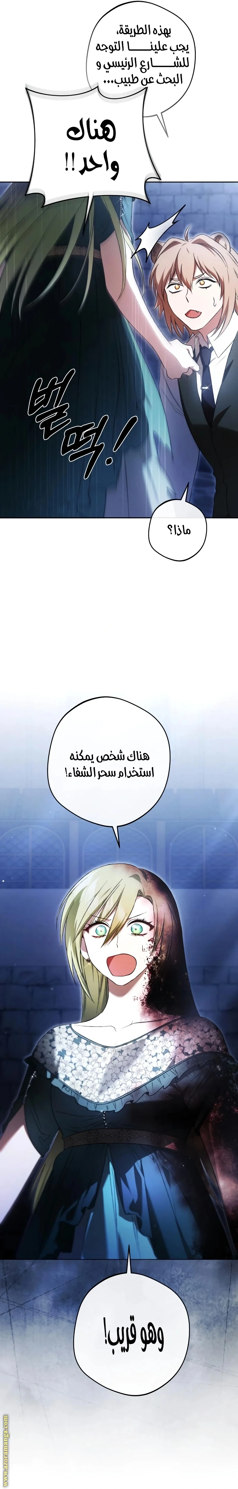 الصفحة 25