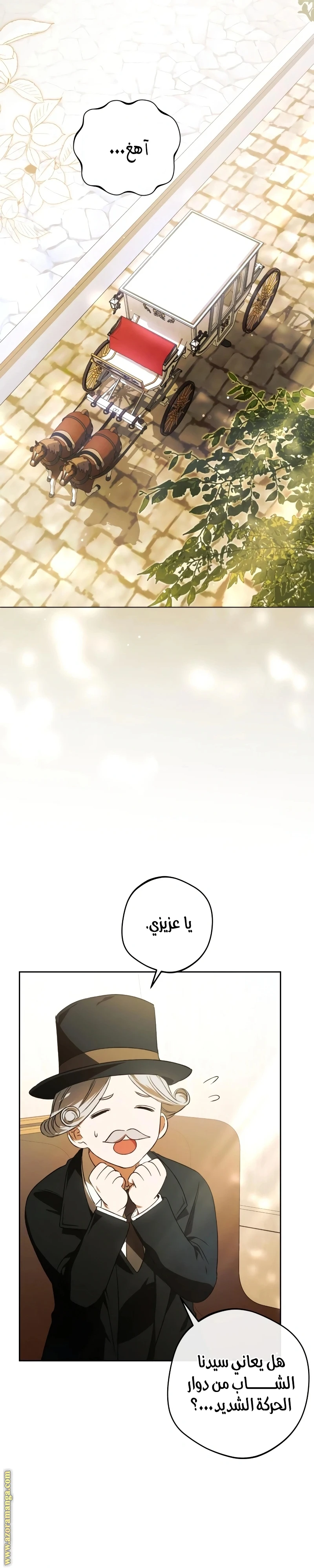 الصفحة 27