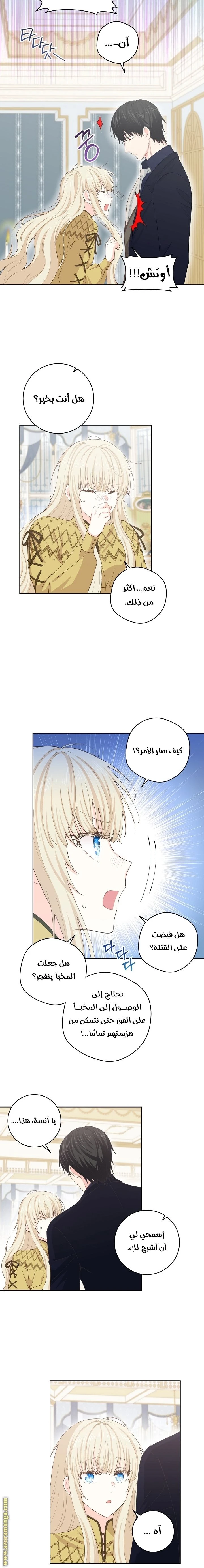الصفحة 17