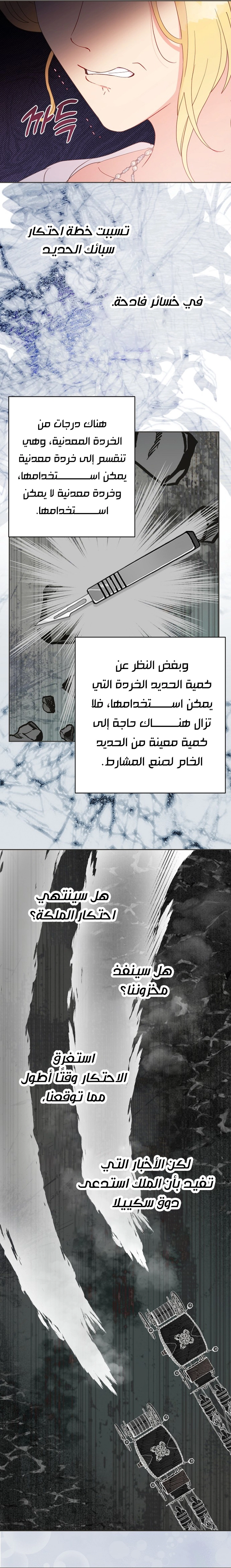 الصفحة 13