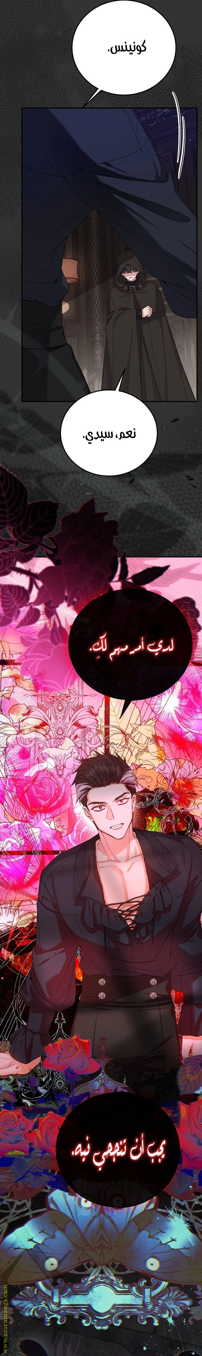 الصفحة 11