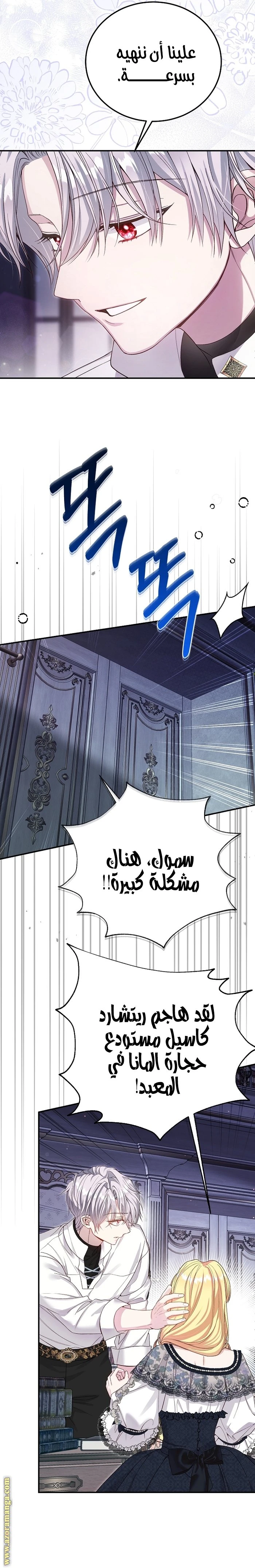 الصفحة 17