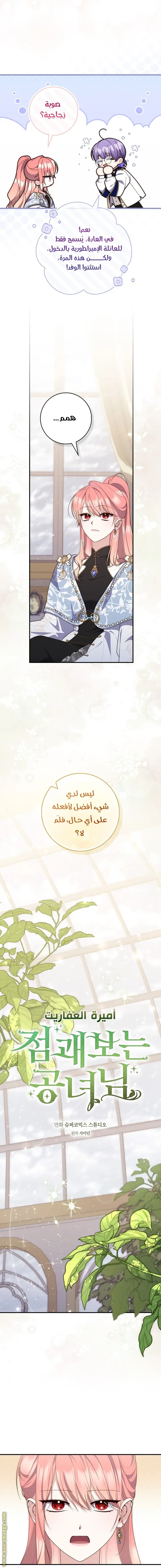 الصفحة 8