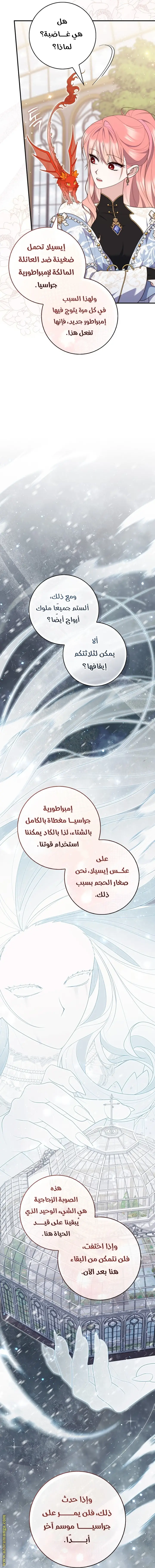 الصفحة 16
