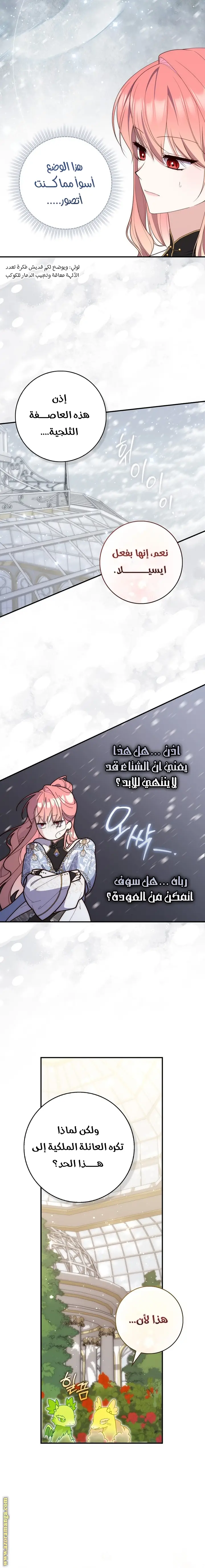 الصفحة 17