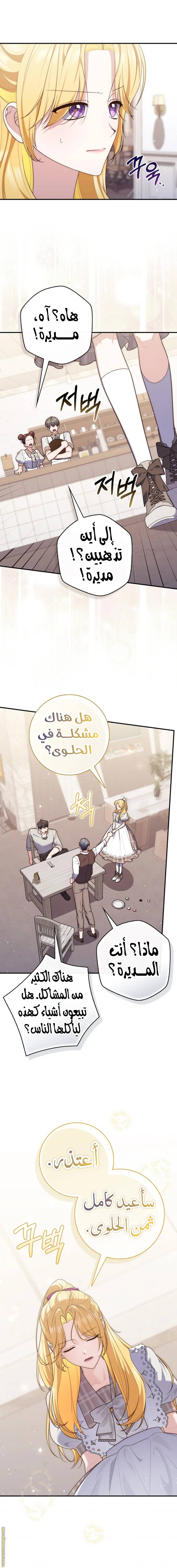 الصفحة 13
