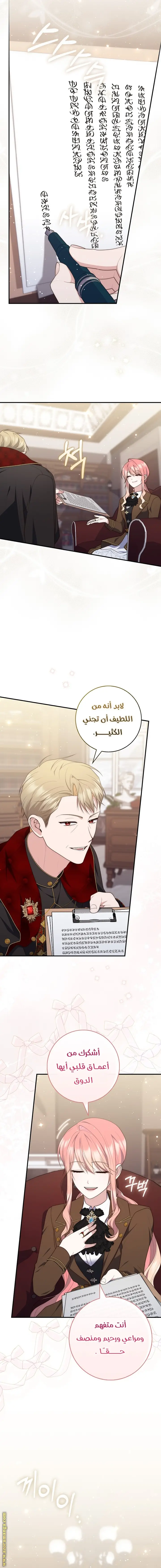 الصفحة 11
