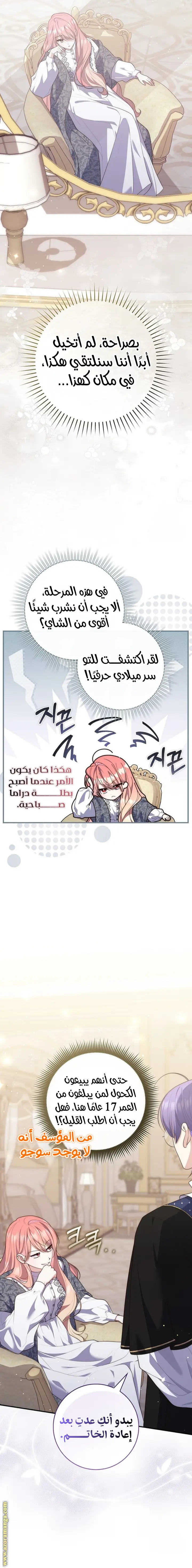الصفحة 3