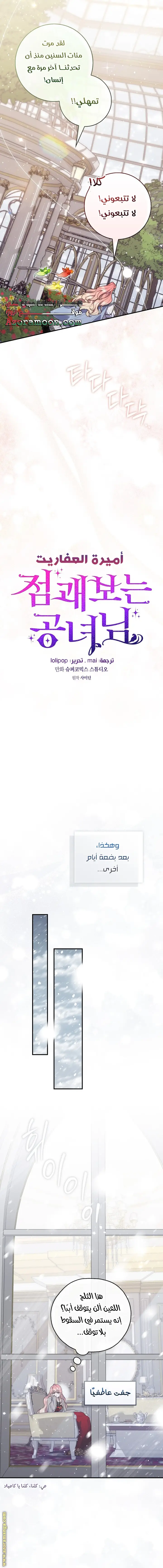 الصفحة 8