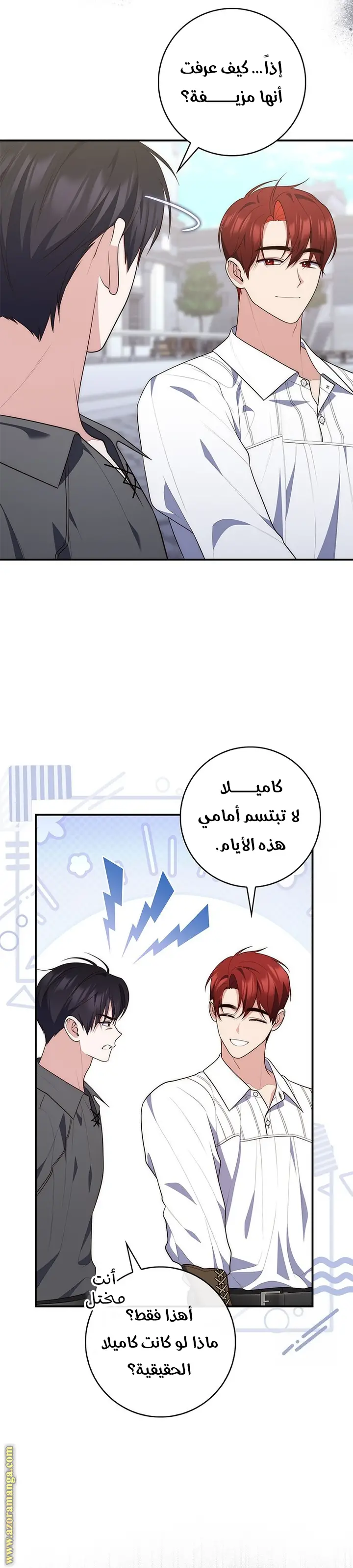 الصفحة 16