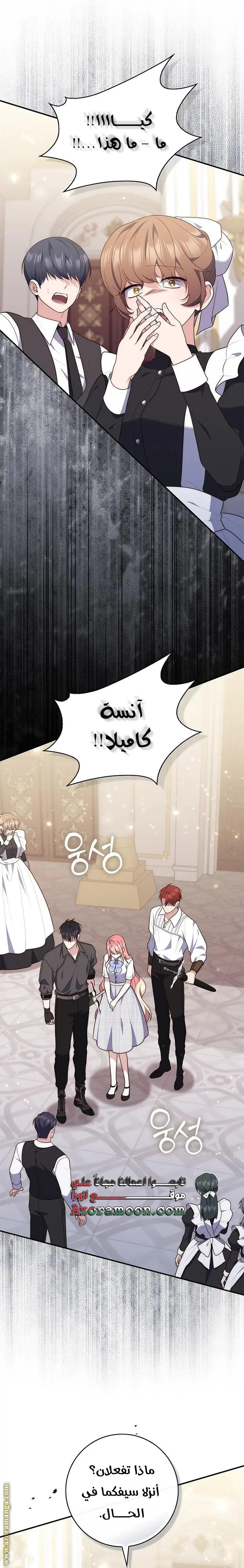 الصفحة 20