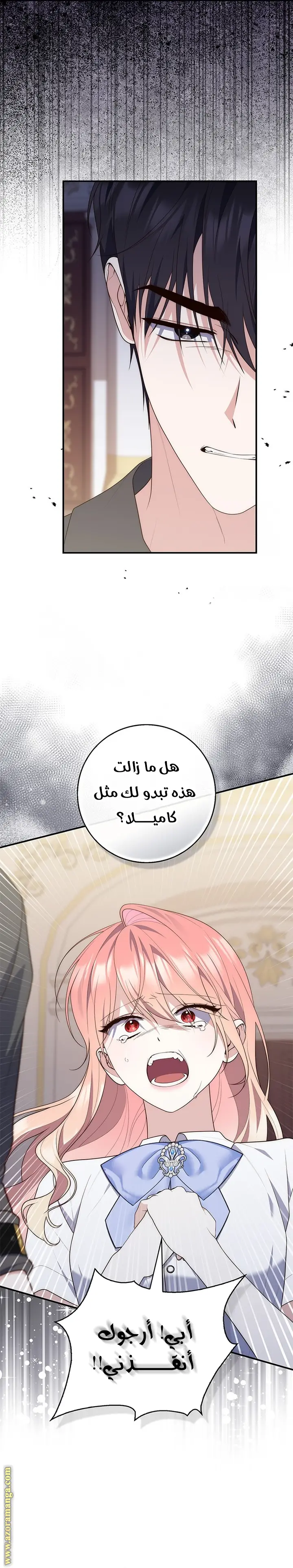 الصفحة 22