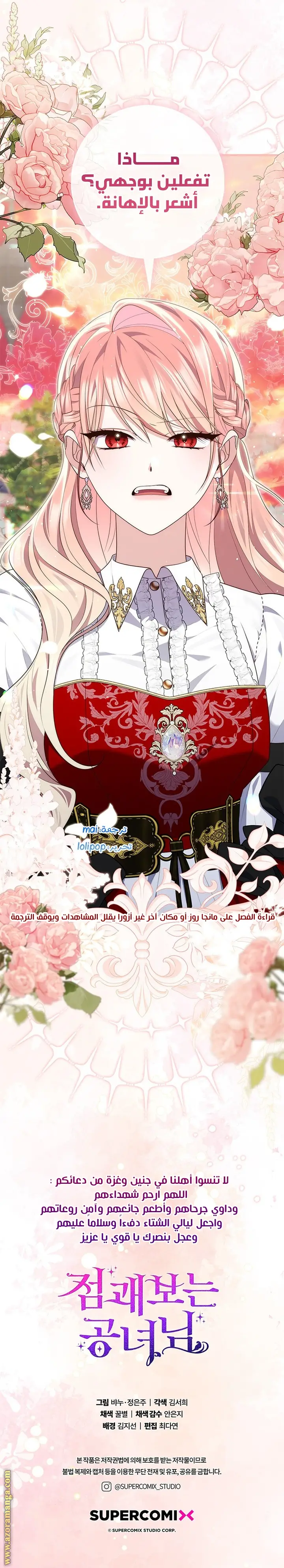 الصفحة 26