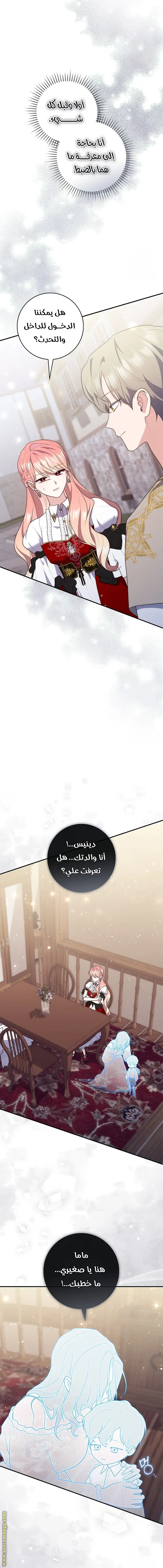 الصفحة 13
