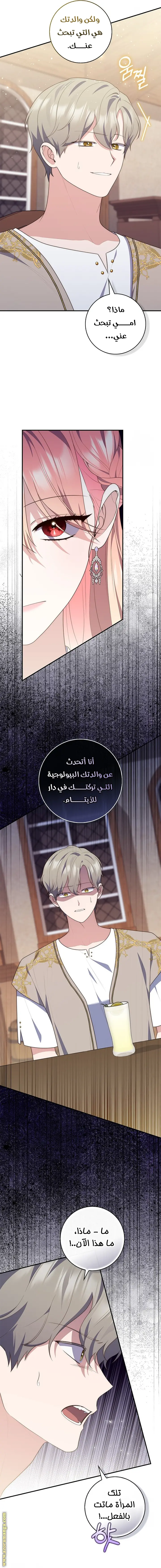الصفحة 15