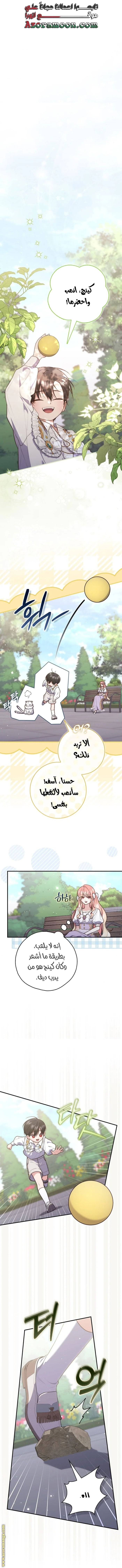 الصفحة 11