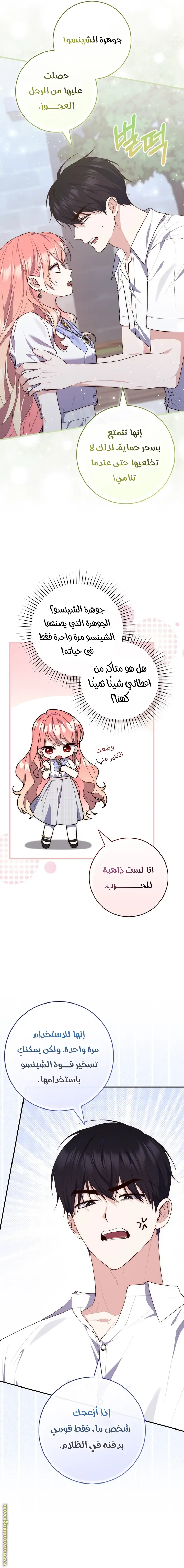 الصفحة 16