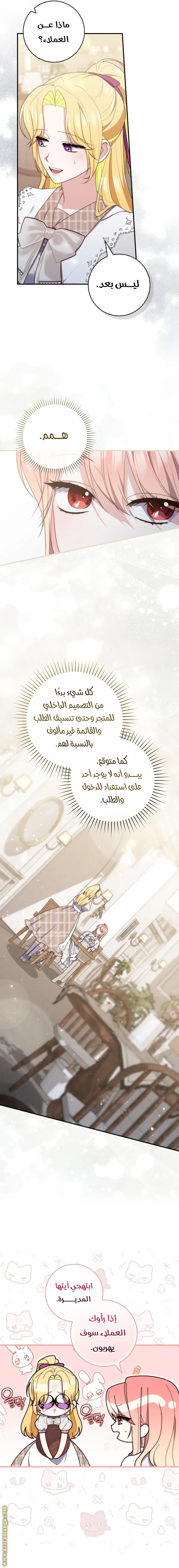 الصفحة 17