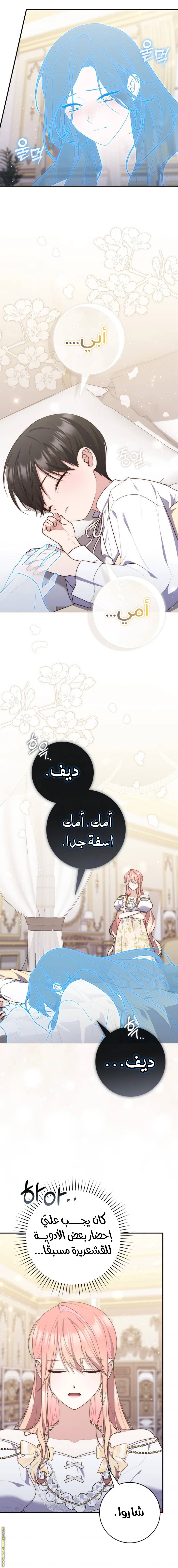 الصفحة 17