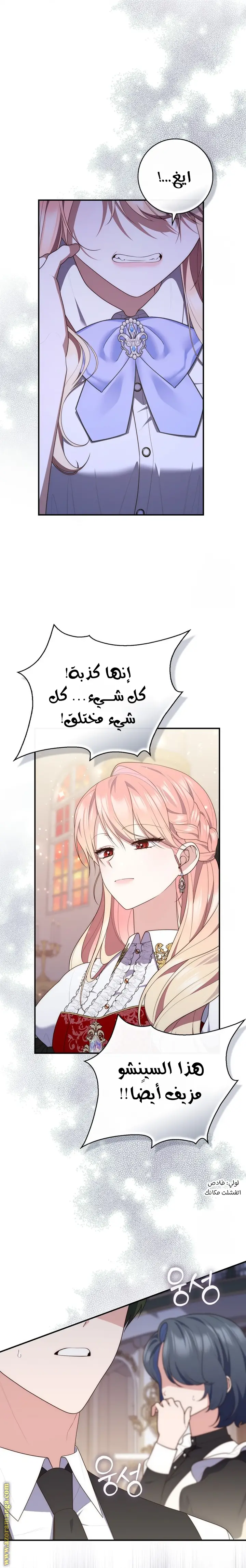 الصفحة 20
