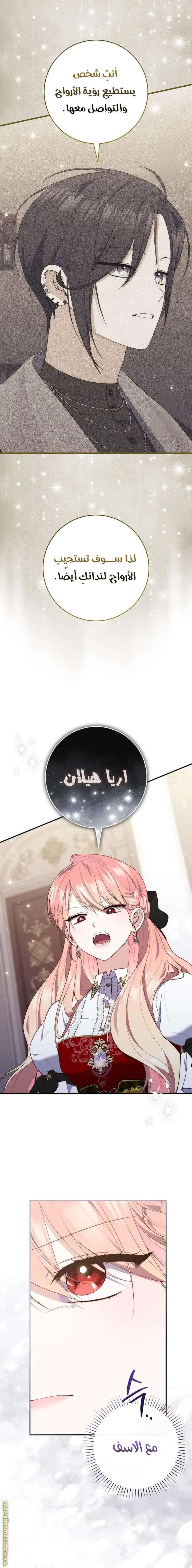 الصفحة 24