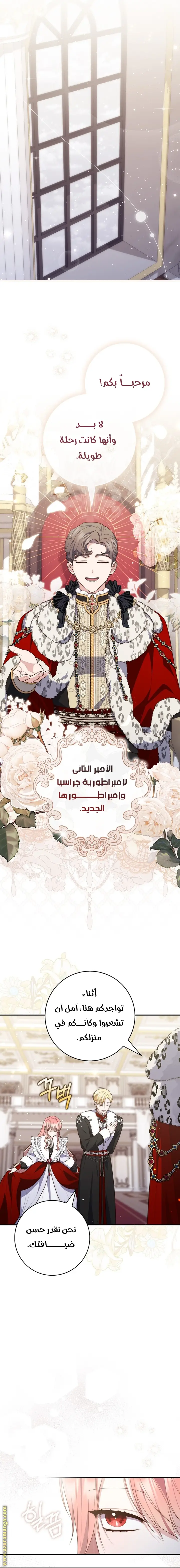 الصفحة 14
