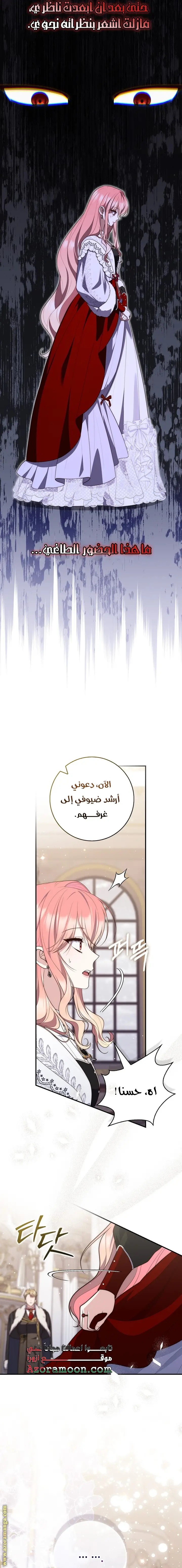 الصفحة 17