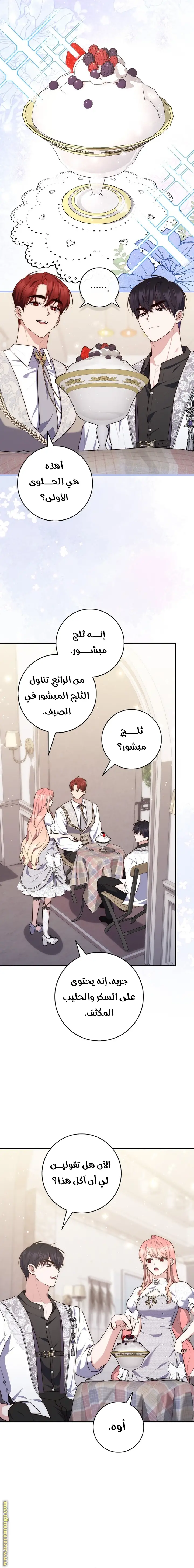 الصفحة 3