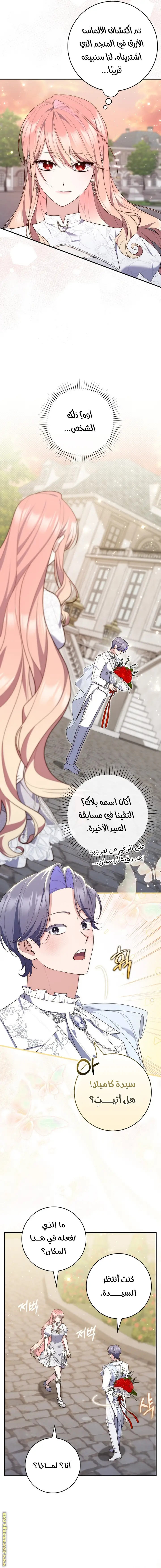 الصفحة 12