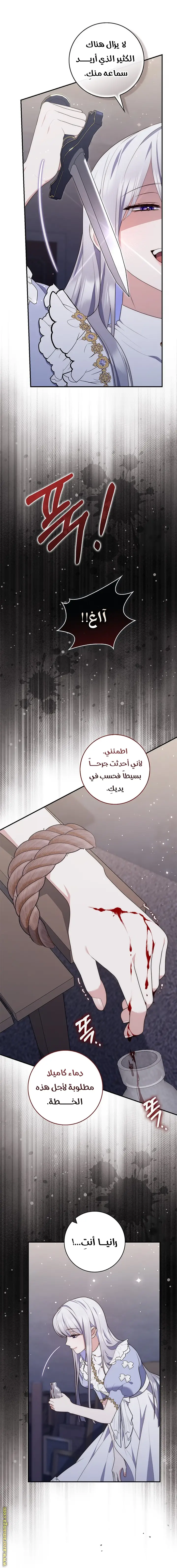 الصفحة 12
