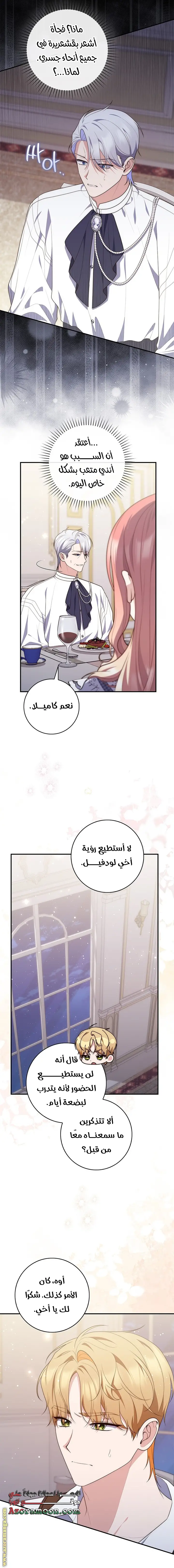 الصفحة 19