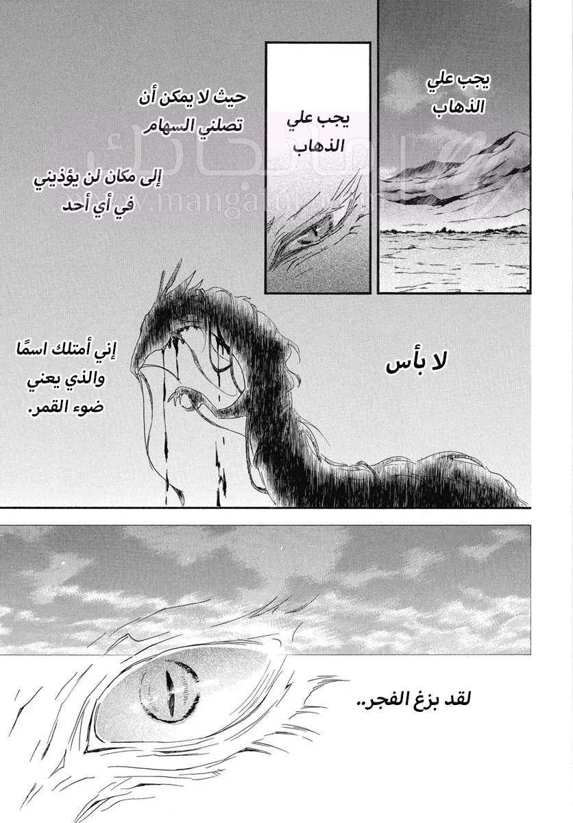 الصفحة 19