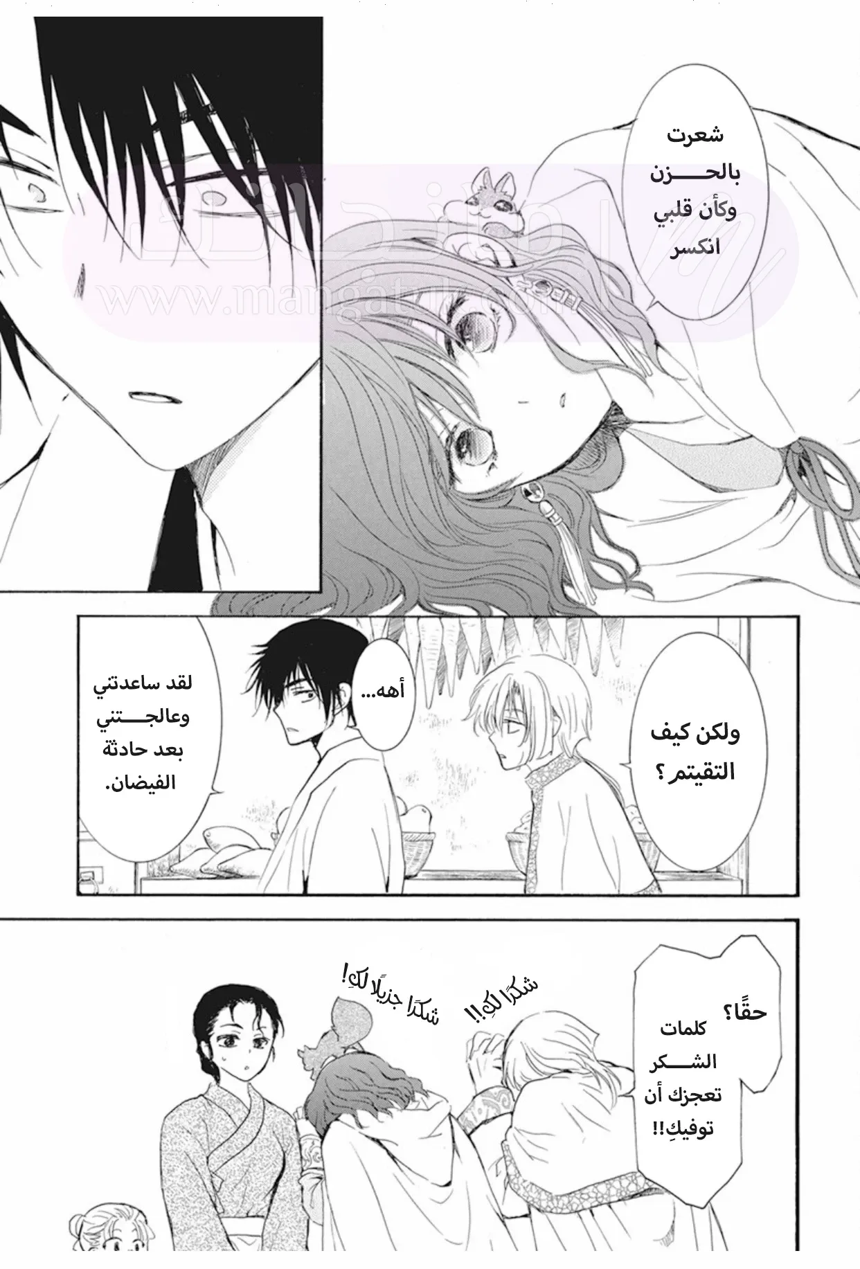 الصفحة 17