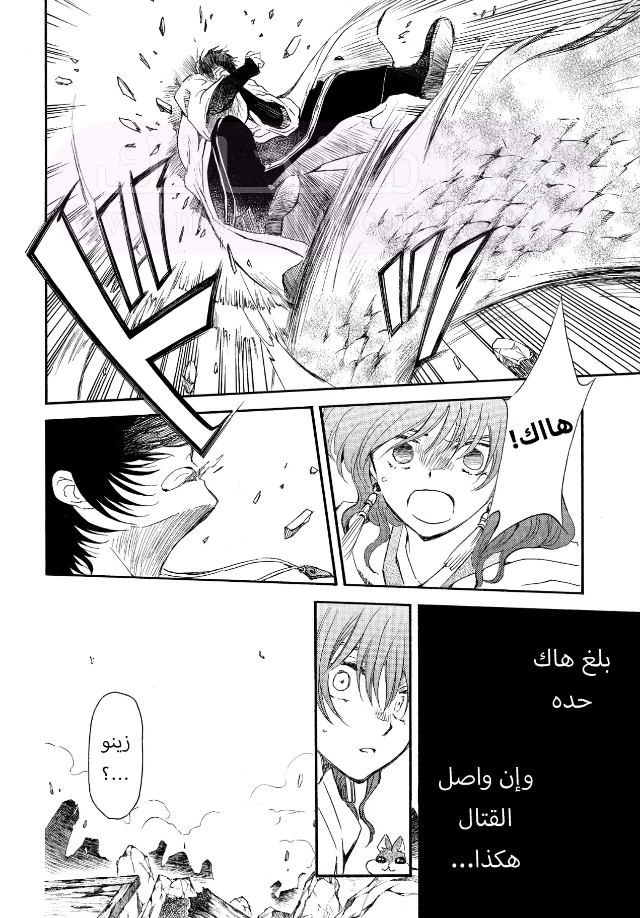 الصفحة 25