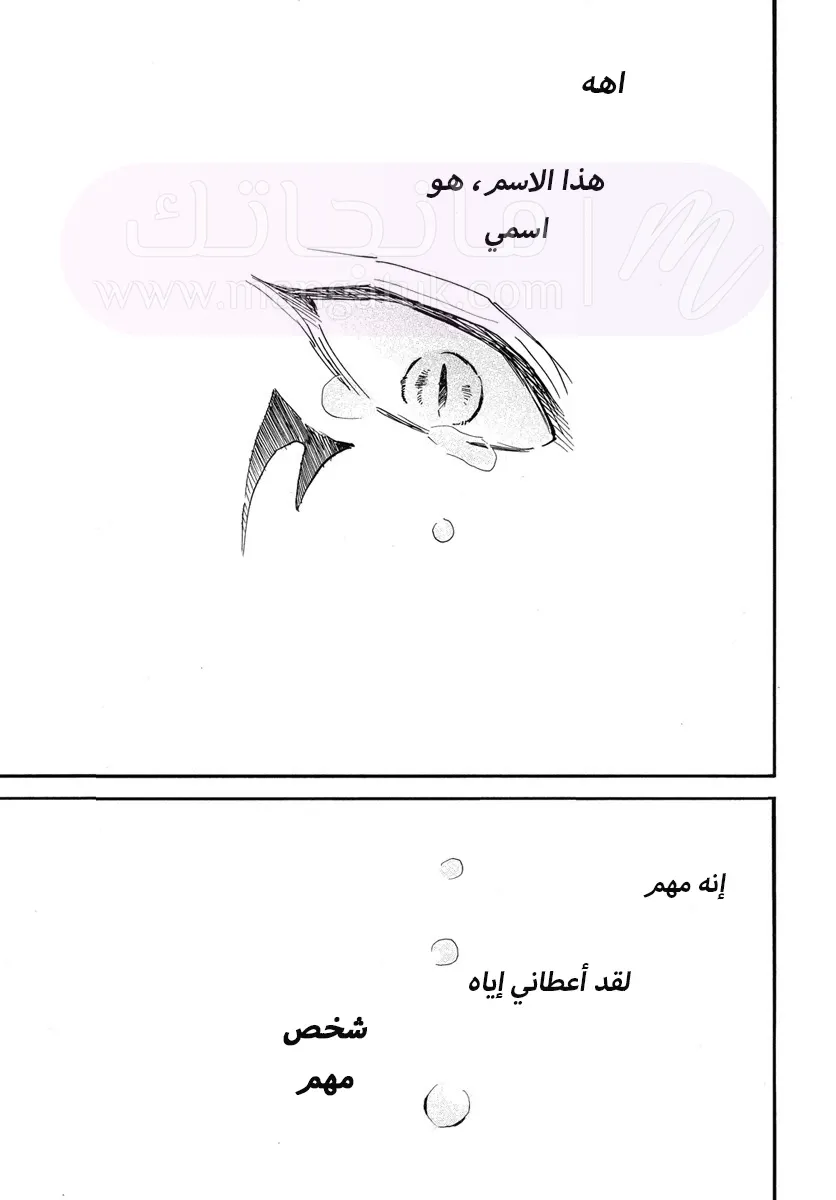 الصفحة 27