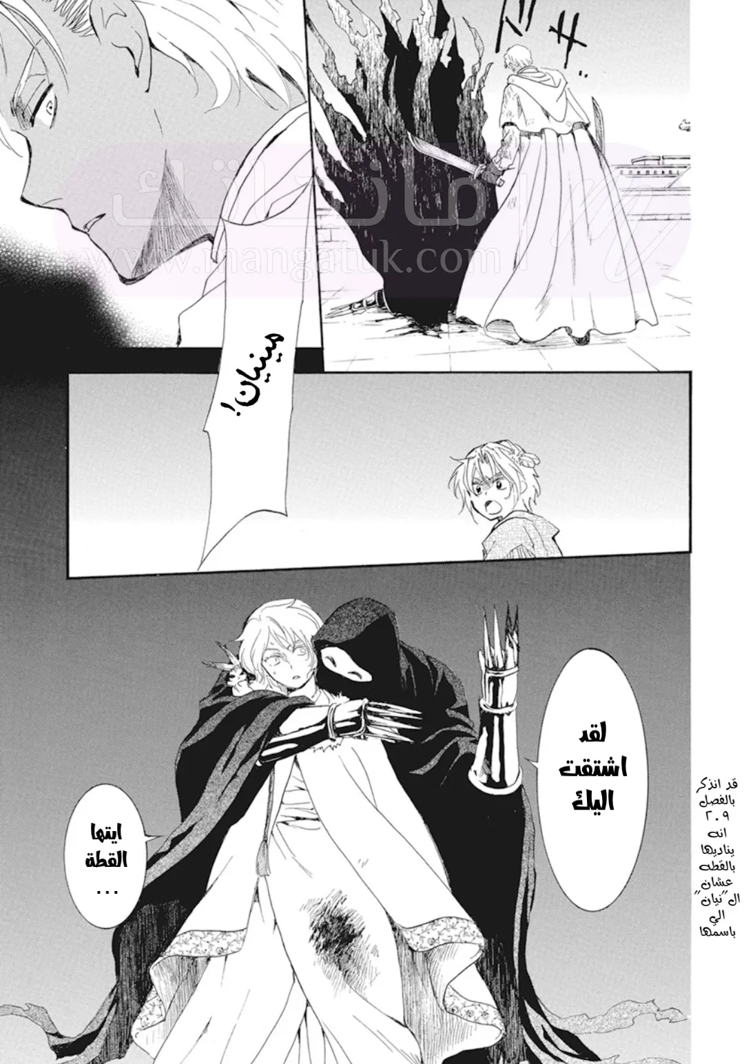 الصفحة 29