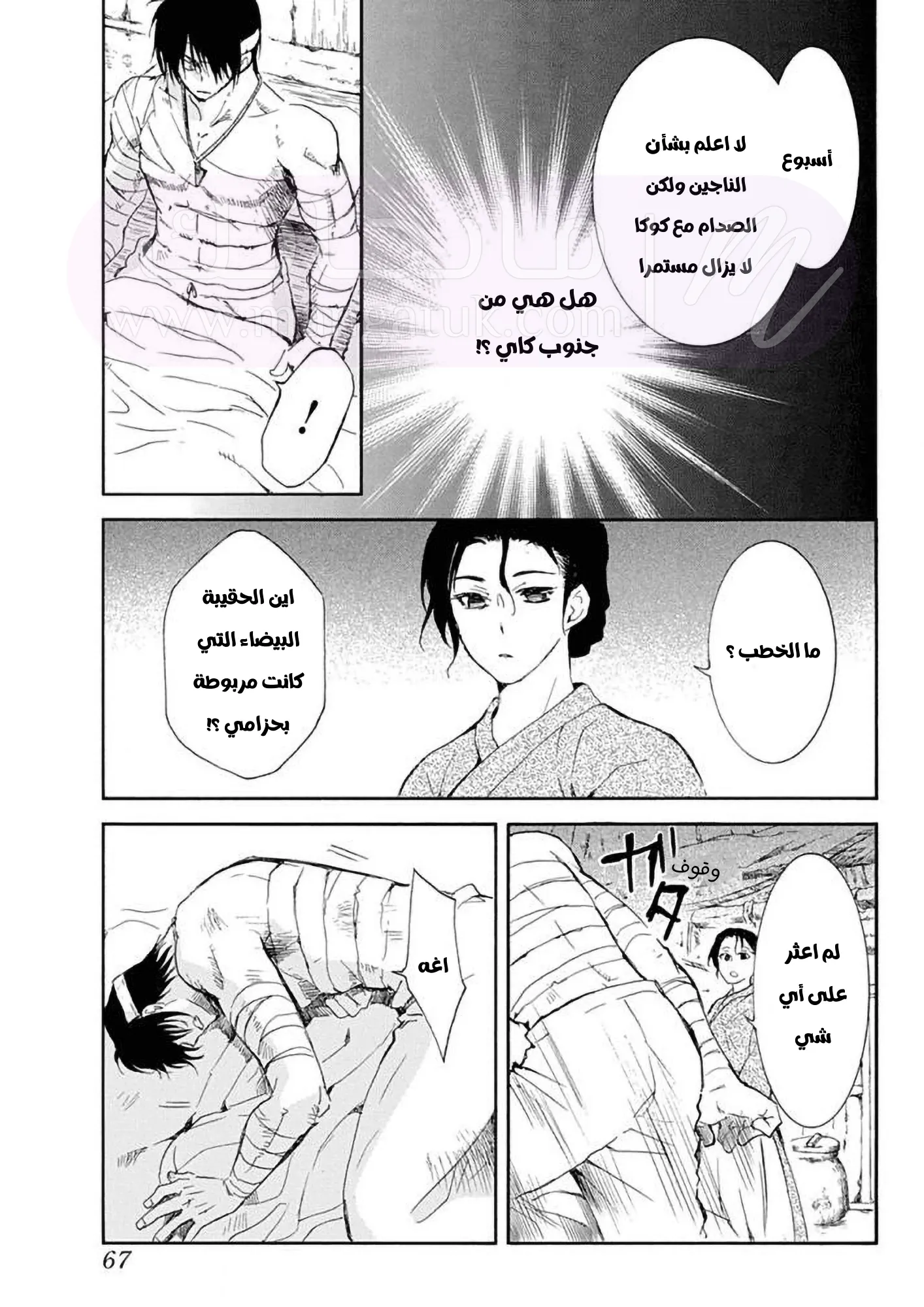 الصفحة 25