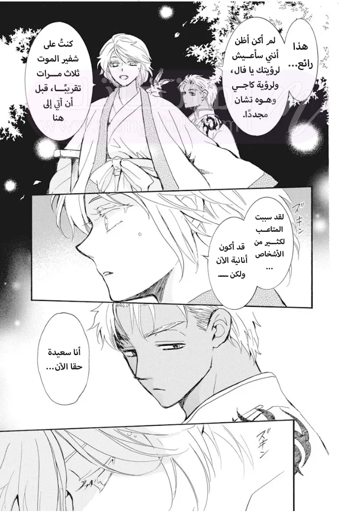الصفحة 17