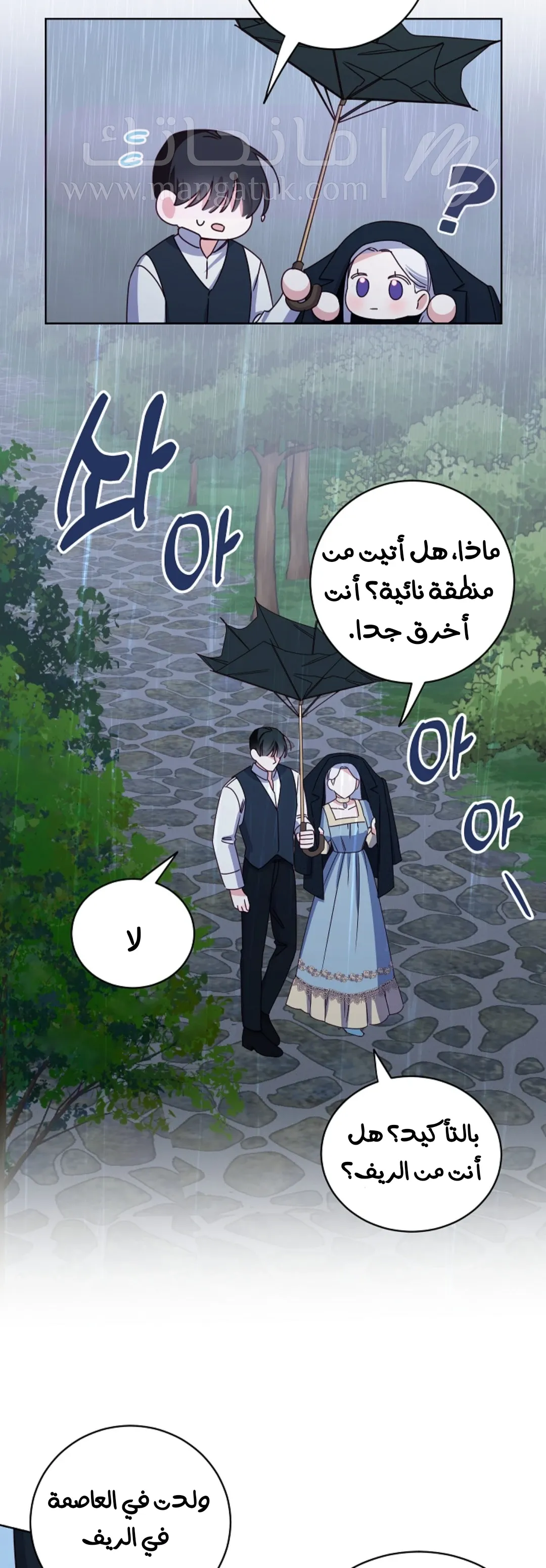الصفحة 17